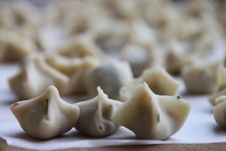 Manti