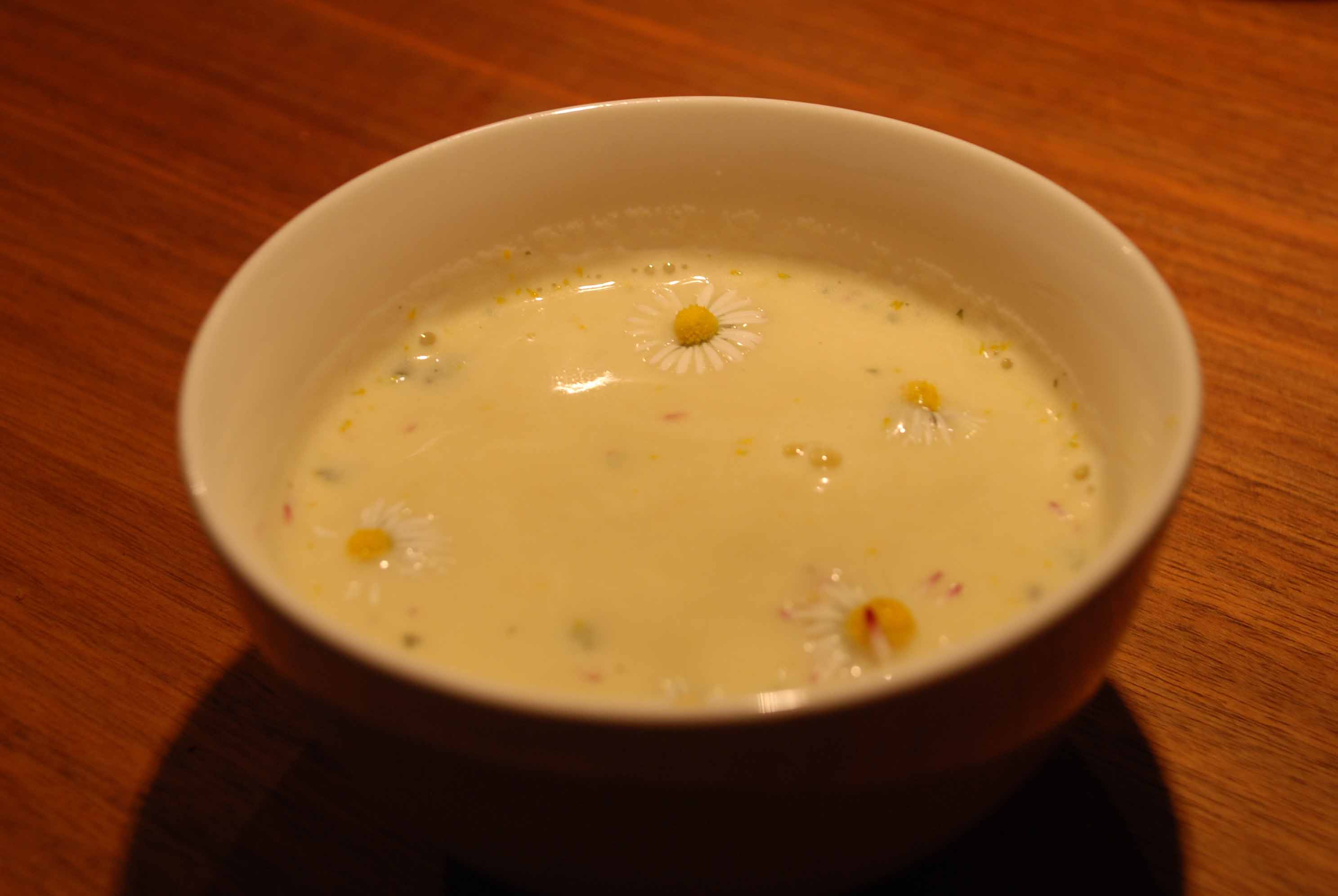 Gänseblümchensuppe