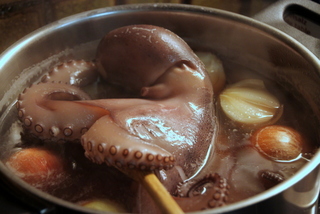 Pulpo