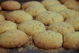 Spagnoletti