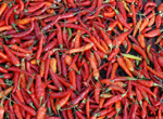 Chilies